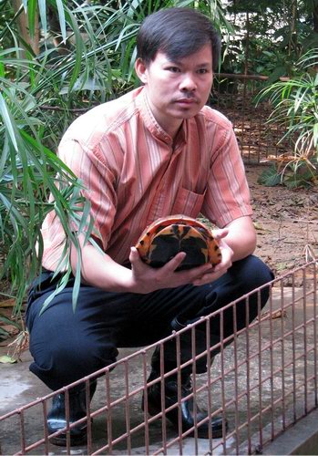 惠州惊现世界最大金钱龟养殖场