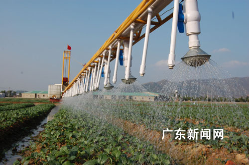 广东惠州农民研发轨道式自动喷灌设备