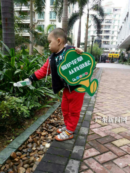 惠州市善润早教组织幼儿给植物浇浇水