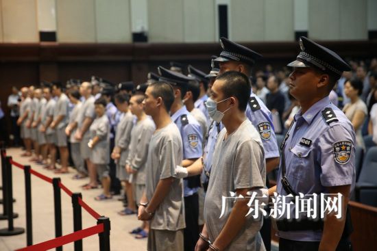 深圳公开宣判48宗毒品犯罪案件