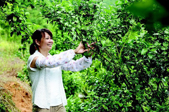 广宁联社:打造妇女创业贷款引掣 带动农村妇女