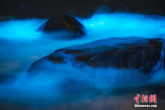  4月14日，福州长乐机场附近的海域，出现蓝色的荧光海藻。福州的平潭与长乐等海域，每年的四月五月都会出现蓝色的荧光海藻，俗称“蓝眼泪”。“蓝眼泪”学名希氏弯喉海萤，简称海萤，是生活在海湾里的一种浮游荧光生物。海萤的身体内有一种叫发光腺的奇特构造，受海浪拍打等刺激时，就会产生浅蓝色的光。图片来源：东方IC 版权作品 请勿转载