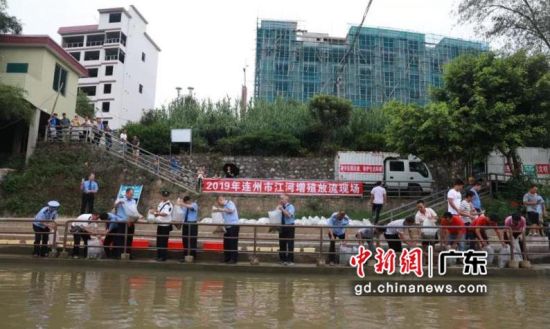 连州市14名非法电鱼人员共同出资购买约30万尾鱼苗投放到湟川河。钟欣 摄 