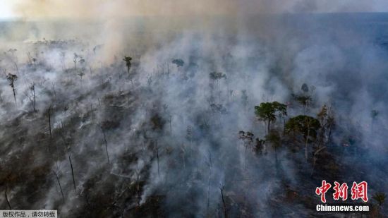 目前，巴西亚马孙地区已有六个州向军方发出请求，希望联邦军队协助当地灭火人员开展灭火工作。图为航拍亚马孙雨林大火，现场浓烟滚滚。据报道，浓烟已经达到超百米的高度。