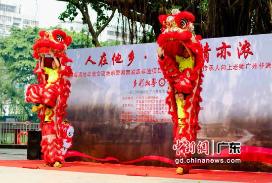 广州工人醒狮协会带来的醒狮表演。 许永华 摄 
