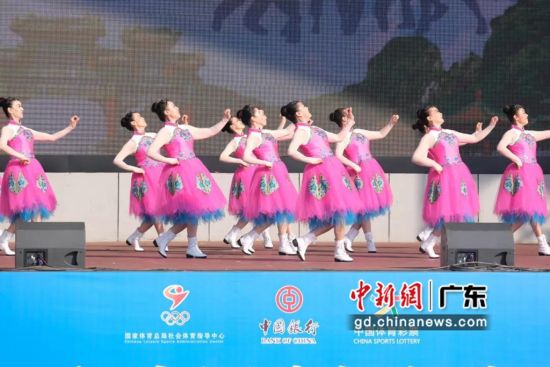 全国500多名广场舞运动员肇庆上演“舞林争霸” 主办方供图 