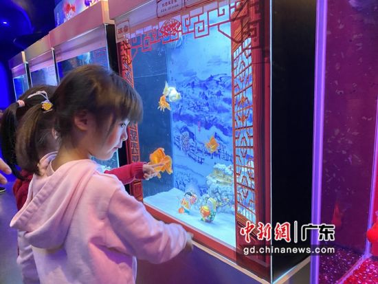 深圳首个中国金鱼特展“鳞光溢彩”29日在海洋奇梦馆举行。(摄影：黄天琦) 