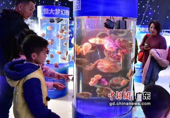 游客在“梦幻水母馆”观看水母活动。曾令华摄影 