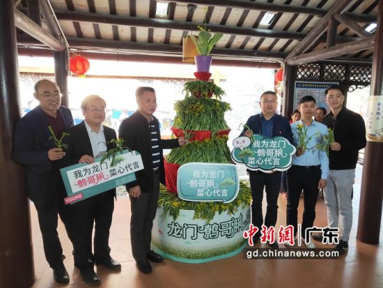 图为由龙门县举办的“龙门鹩哥�菜心推介会” 吸引了众多的海内外客商与游客 龙门县委宣传部供图 