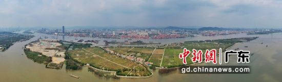 2月26日，袁隆平院士选址、题名的“隆平国际现代农业公园”（简称隆平公园）在广州市黄埔区启动建设。范敏玲摄影