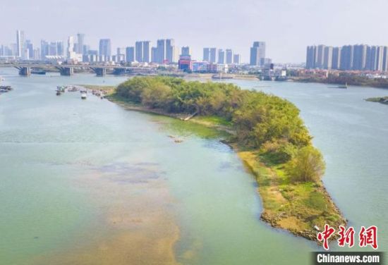  近年来佛山河心岛生态修复卓有成效。图为美丽的海心沙。　广东省自然资源厅供图