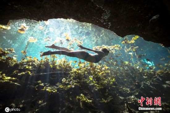 5月22日消息，墨西哥尤卡坦半岛有许多“天坑”，是洞潜爱好者的天堂。41岁的摄影师Alex Voyer在尤卡坦半岛拍摄了一组洞潜大片，这组水下照片没有使用人工光源，画面中，Alex Voyer的女友Marianne Aventurier在天坑的洞穴潜水。扑朔迷离的幽暗光线，神秘的水下洞穴，怡然自得的潜水者，构成的画面十分唯美。Alex称他和女友正在环球世界，这里是最好的免费潜水胜地。图片来源：ICphoto
