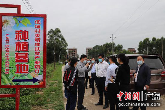 杨梅镇低埇村种植基地项目 广东省体育局供图
