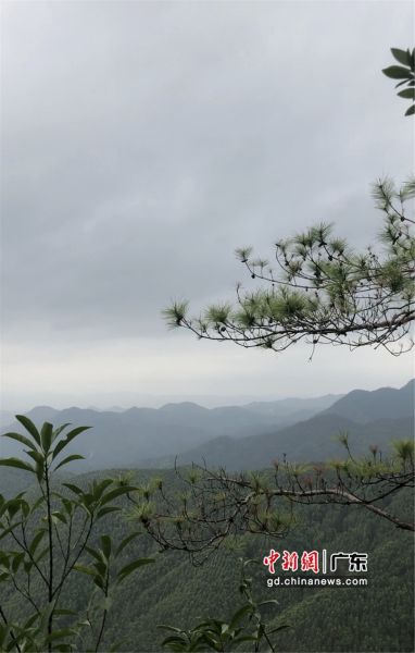 图为惠东县安墩镇水美村的景色。惠东县供图 