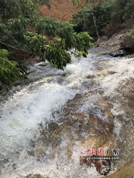 图为惠东县安墩镇水美村的景色。惠东县供图 