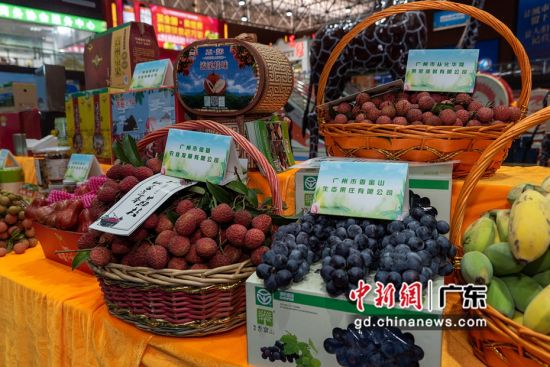 广东启动2020年绿色食品宣传月活动