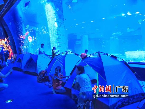 广州举办夜宿海底活动 市民体验海洋魅力