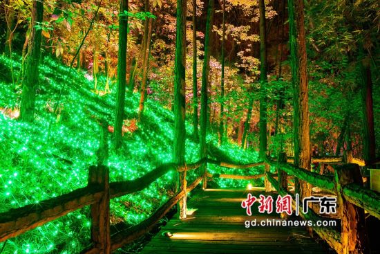 佛冈启动大型夜游项目“森境光影”助力夜经济