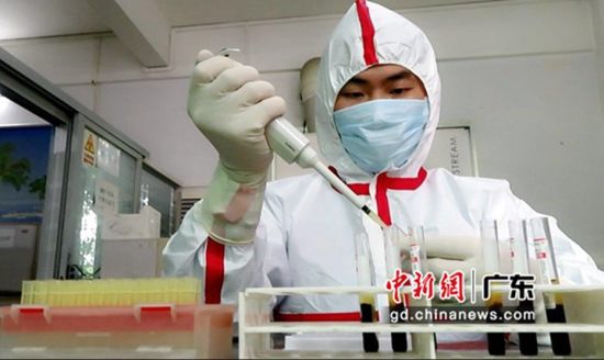 广东省三水所艾滋病病毒初筛现场。黄炳森供图 