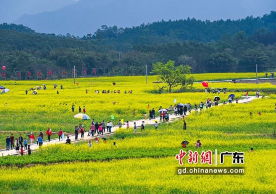 春节期间广东民众外出踏青。广东省林业局 供图 