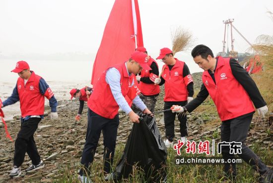青年志愿者一行来到珠江口河岸清理河滩上的垃圾杂物 