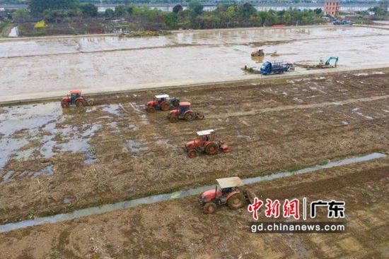 广州南沙举行春耕春播生产现场会 多项举措保障春耕生产