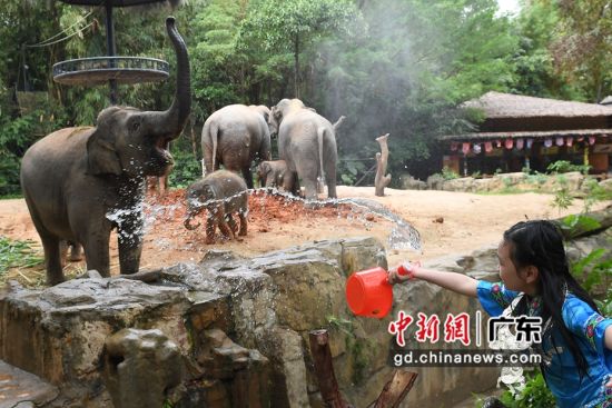 4月15日，广东省广州市长隆野生动物世界，一名广西小游客和大象展开“泼水大战”。陈楚红 摄