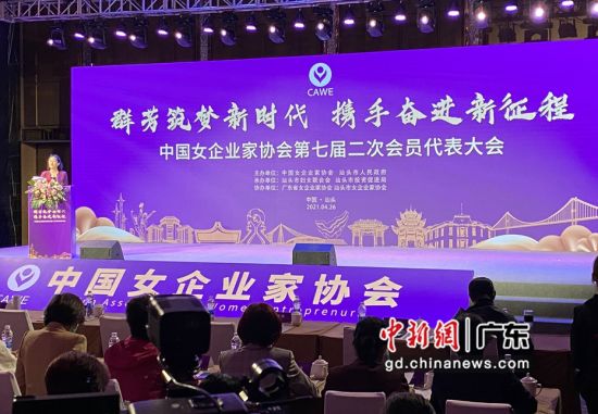 中国女企业家协会会长李谠在活动上致辞。 作者 林大森