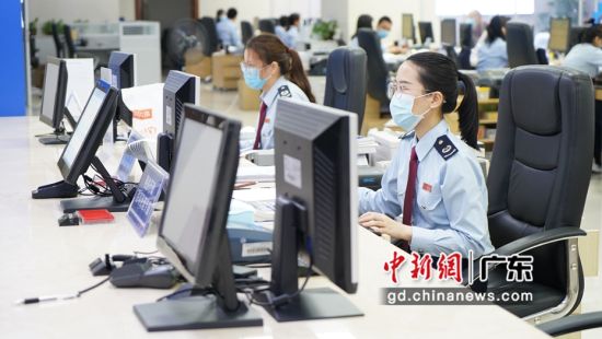 湛江市税务局工作人员正在办理涉税业务 作者 湛江市税务局供图