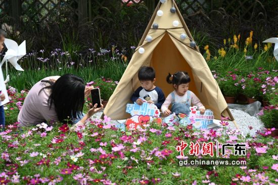 游客在华南植物园打卡“母亲花”花展 作者 陈楚红