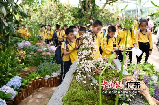 学生参观华南植物园五一节“母亲花”主题花展。陈楚红 摄