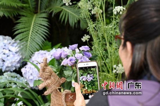 华南植物园五一节“母亲花”主题花展吸引游客拍照。陈楚红 摄