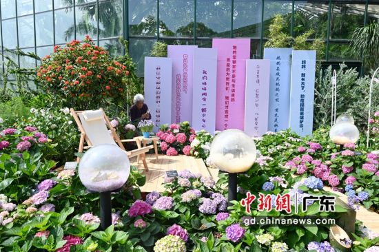 华南植物园五一节“母亲花”主题花展吸引游客参观拍照。陈楚红 摄