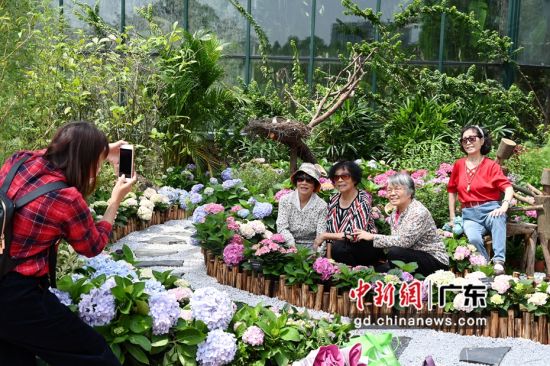 华南植物园五一节“母亲花”主题花展吸引游客拍照。陈楚红 摄