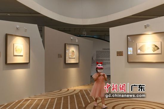 一名小朋友在广州艺术博物院白云国际机场分院参观拍照。陈楚红 摄