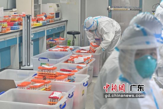 广州第三方检验机构日核酸检测量达35万管 林捷供图