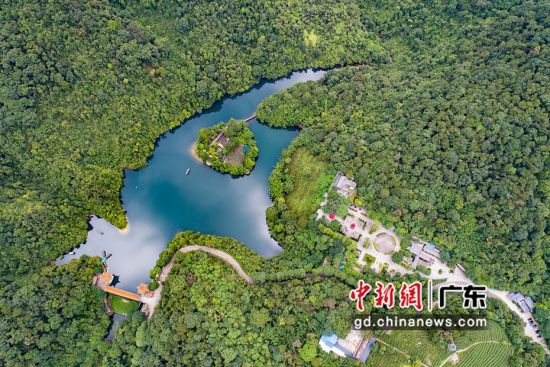 广东鼎湖山国家级自然保护区(资料图)。广东省林业局 供图