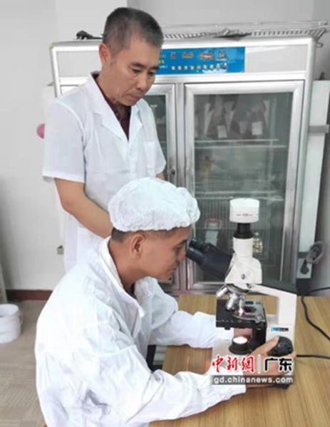 中国专利奖广东企业创佳绩 生物技术专利获认可