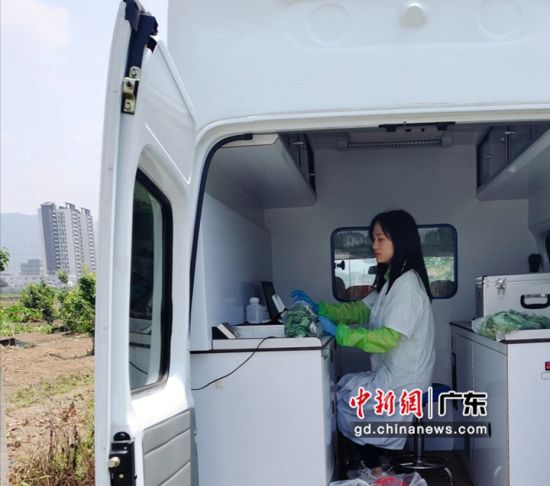 广州增城全力创建国家农产品质量安全区