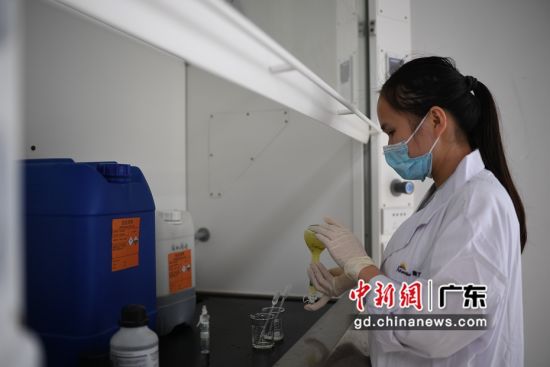 康方药业中新广州知识城生物制药基地的工作人员在进行溶液配制工作。陈楚红 摄