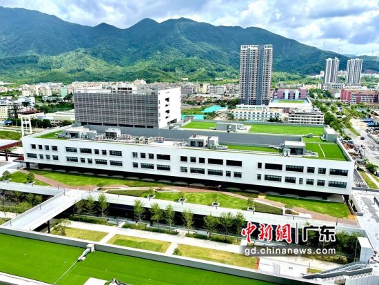 深圳技术大学建设取得新进展 助力湾区教育发展