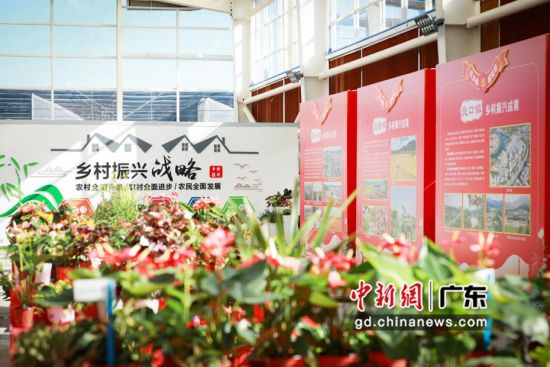 9月23日，广州市从化区庆祝2021中国农民丰收节系列活动举行。钟欣 摄