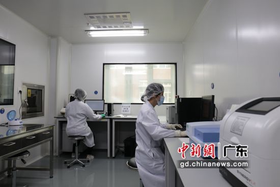 SCTL科研人员在做实验 作者 中科院健康院 供图