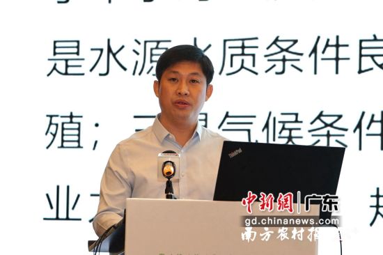 都安瑶族自治县党委常委、常务副县长杨波。主办方供图