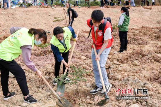 志愿者参与植树造林活动(资料图)。广东省林业局 供图