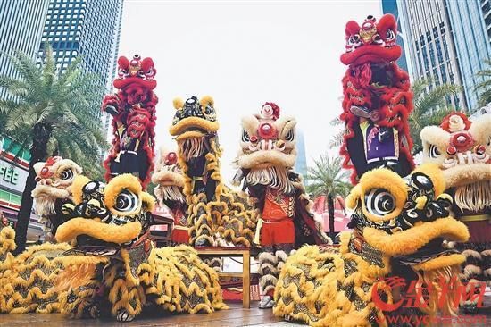 醒狮闹新春，是南粤最有特色的文化符号 羊城晚报全媒体记者 何奔 摄