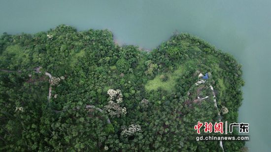 图为深圳水库沿岸的绿道。 作者 南兆旭 供图