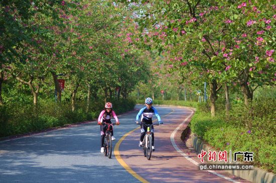 民众在东莞大岭山森林公园骑行。广东省林业局 供图