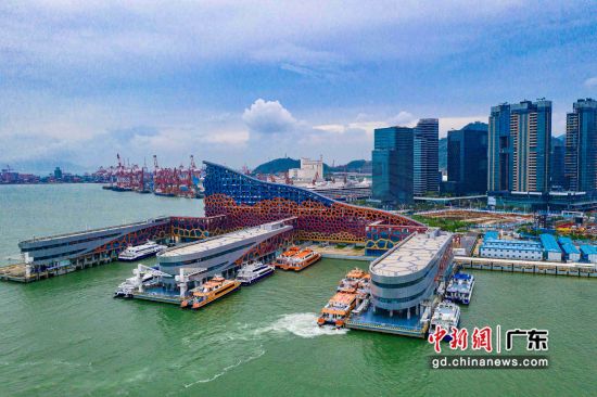 图为深圳航运集团高速客船停泊蛇口邮轮母港。深圳航运 供图