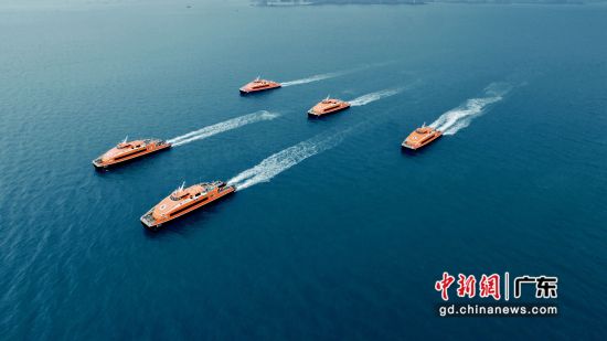 图为深圳航运集团海上高速客运船队。深圳航运 供图